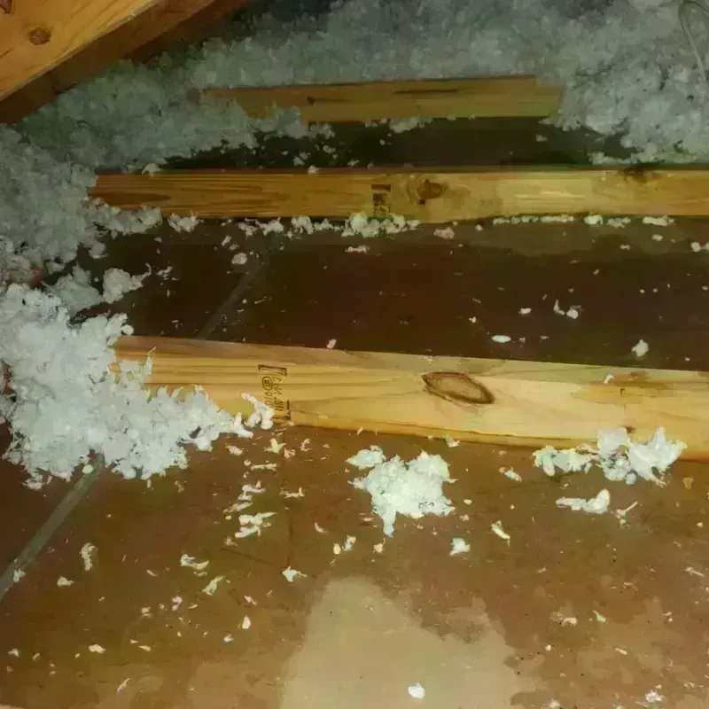 Attic Water Damage in East Perrine, FL