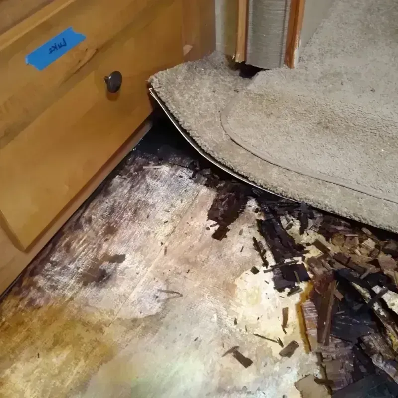 Best Wood Floor Water Damage Service in East Perrine, FL